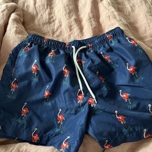Phish Flamingo Print Swim Shorts